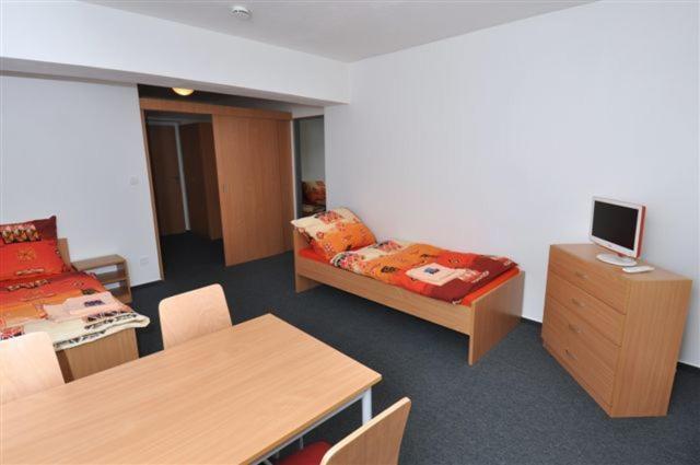 Sport Hotel Ticha Orlice Ústí nad Orlicí Rom bilde