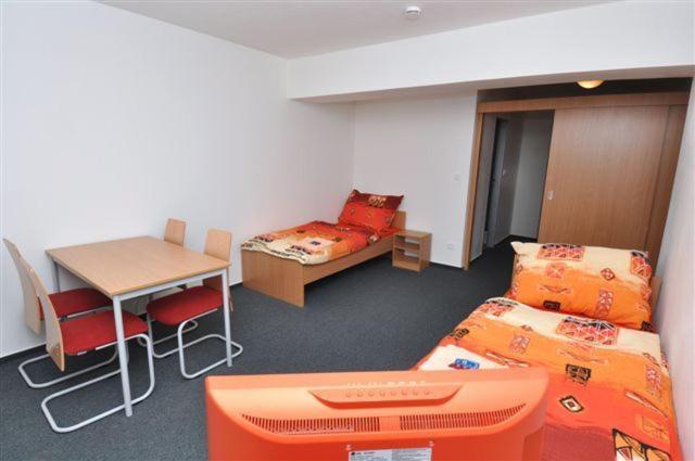 Sport Hotel Ticha Orlice Ústí nad Orlicí Rom bilde
